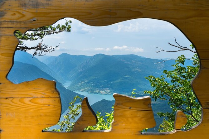 Full-Day Trip from Belgrade: Tara National Park & The Drina River Valley - Tara National Park and the Zelenika viewpoint