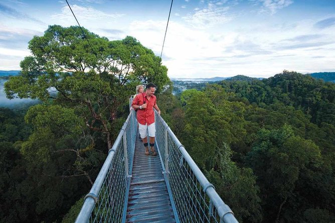 Full Day Trip of Brunei Ulu Temburong National Park including Canopy Walk - The 826-step climb to the canopy