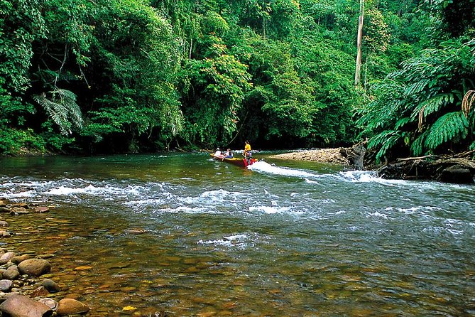 Full Day Trip of Brunei Ulu Temburong National Park including Canopy Walk - Local lunch beside the Temburong River