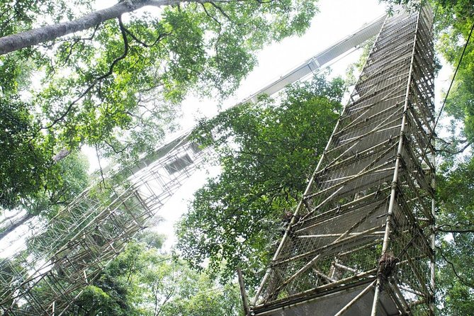 Full Day Trip of Brunei Ulu Temburong National Park including Canopy Walk - What the $347.67 price really covers