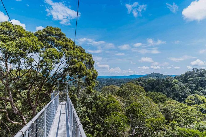 Full Day Trip of Brunei Ulu Temburong National Park including Canopy Walk - Who will enjoy this Brunei rainforest day