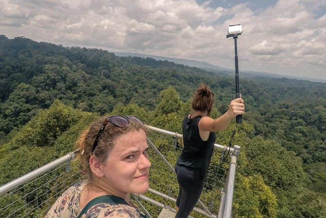 Full Day Trip of Brunei Ulu Temburong National Park including Canopy Walk - Honest strengths and limitations