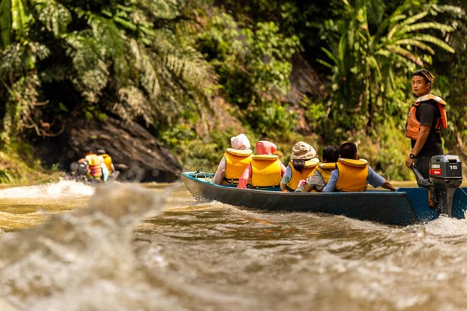 Full Day Trip of Brunei Ulu Temburong National Park including Canopy Walk - OBBD Waterfall and a possible river tube ride