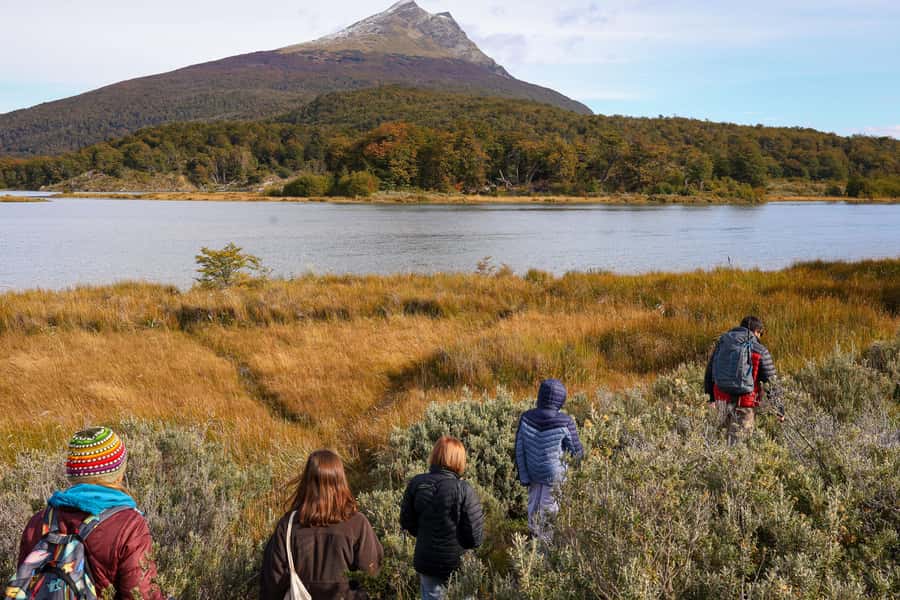 Full Day Trip to Tierra del Fuego National Park - Key points to know before you book