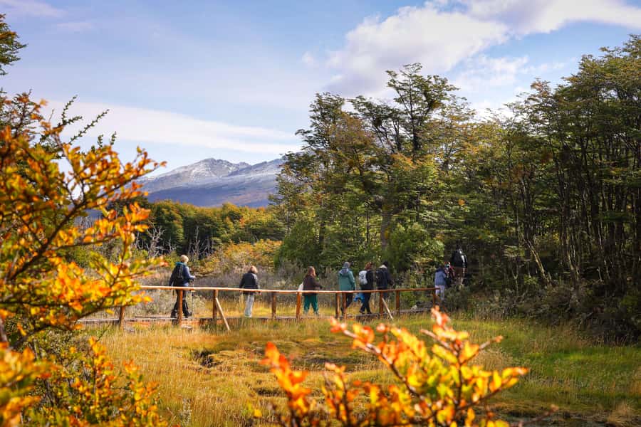 Full Day Trip to Tierra del Fuego National Park - Why this park deserves a full half-day