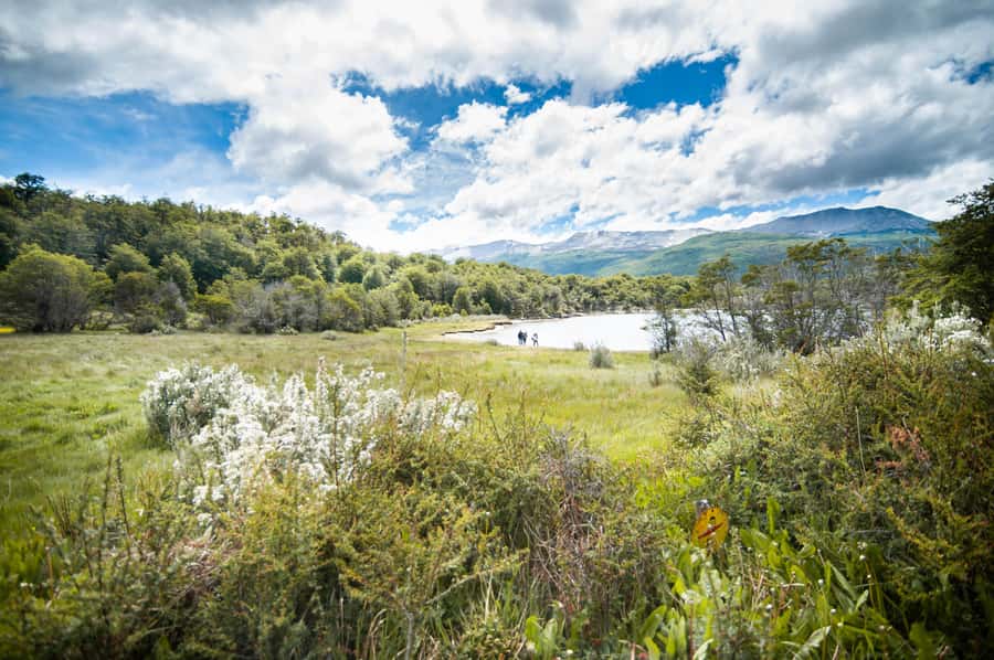 Full Day Trip to Tierra del Fuego National Park - The Pampa Alta and Ensenada walking route