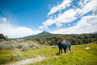 Full Day Trip to Tierra del Fuego National Park