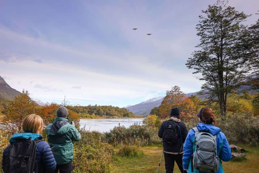 Full Day Trip to Tierra del Fuego National Park - The End of the World Train: optional, and worth clarifying
