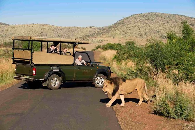 Full Day Ultimate Pilanesberg National Park Safari from Johannesburg or Pretoria - The afternoon drive changes the pace