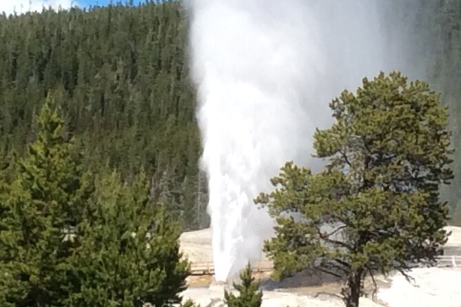 Full Day Yellowstone National Park Tour with lunch included - Waterfalls, Hayden Valley, and Yellowstone Lake