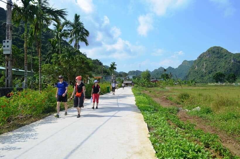Fullday Trekking in Cat Ba National Park to Viet Hai Village - Reaching Viet Hai Village around midday