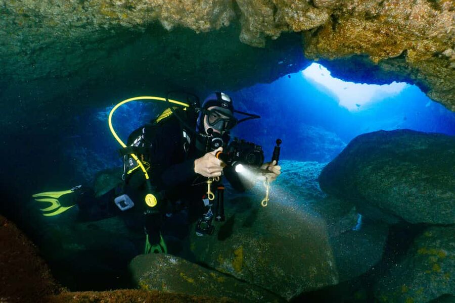 Funchal: Garajau national park - certified divers - A short swim leads to the boat