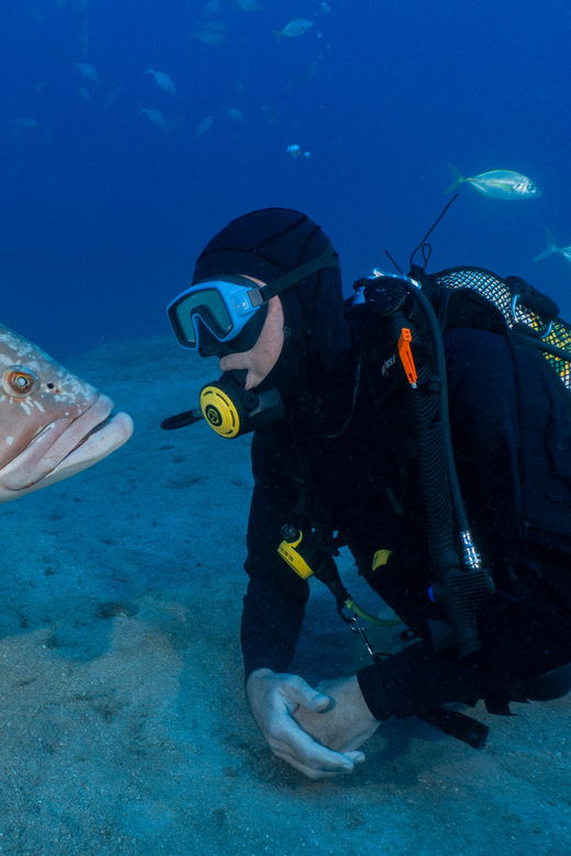 Funchal: Garajau national park - certified divers - What you see at Praia do Garajau