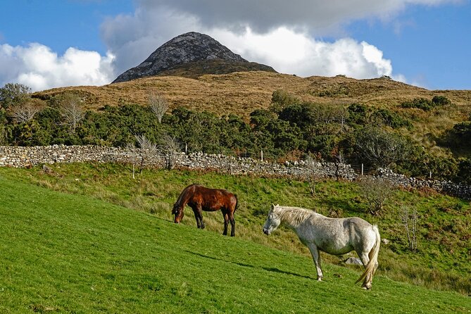 Galway to Connemara National Park Day Tour - Spiddal, the final taste of Galway’s coast