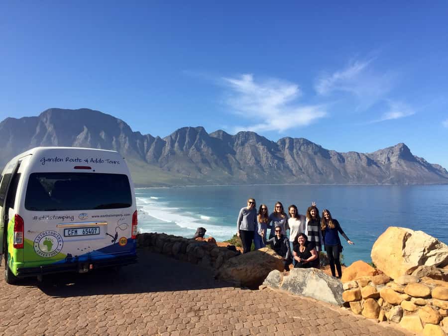 Garden Route and Addo Elephant National Park: 5-Day Safari - Day 5: A short safari in Addo Elephant National Park