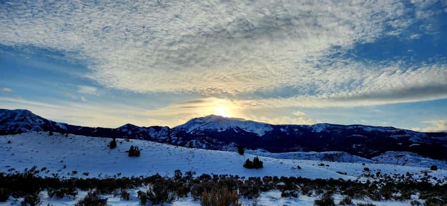 Gardiner: Yellowstone National Park Wildlife Guided Tour - Who will enjoy this Yellowstone tour?