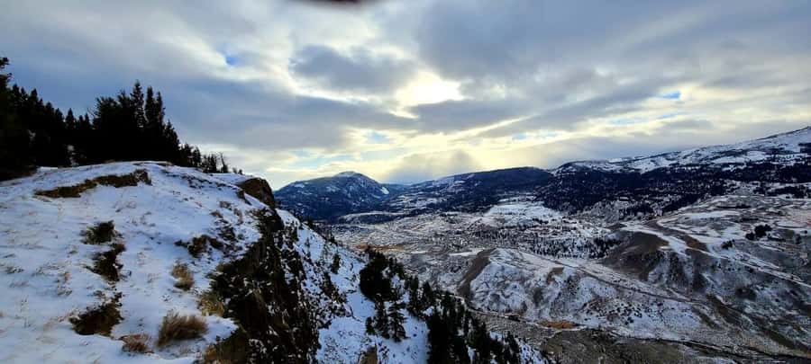 Gardiner: Yellowstone National Park Wildlife Guided Tour - Starting early from Gardiner