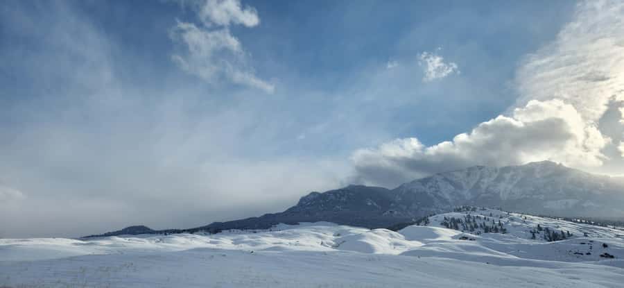 Gardiner: Yellowstone National Park Wildlife Guided Tour - Breakfast, lunch, and practical comfort
