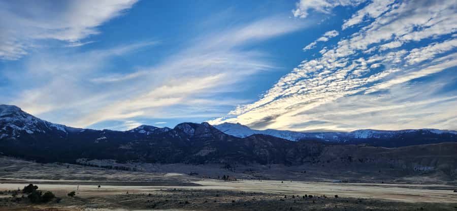 Gardiner: Yellowstone National Park Wildlife Guided Tour - Timing, duration, and one important caution