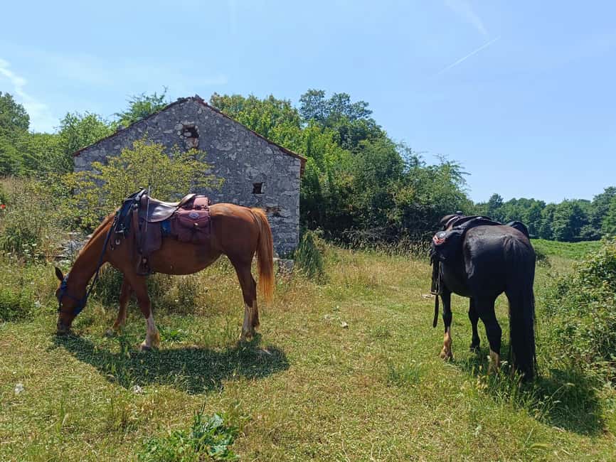 Gargano National Park: a horseback ride - Ten minutes to meet the horses and learn the basics