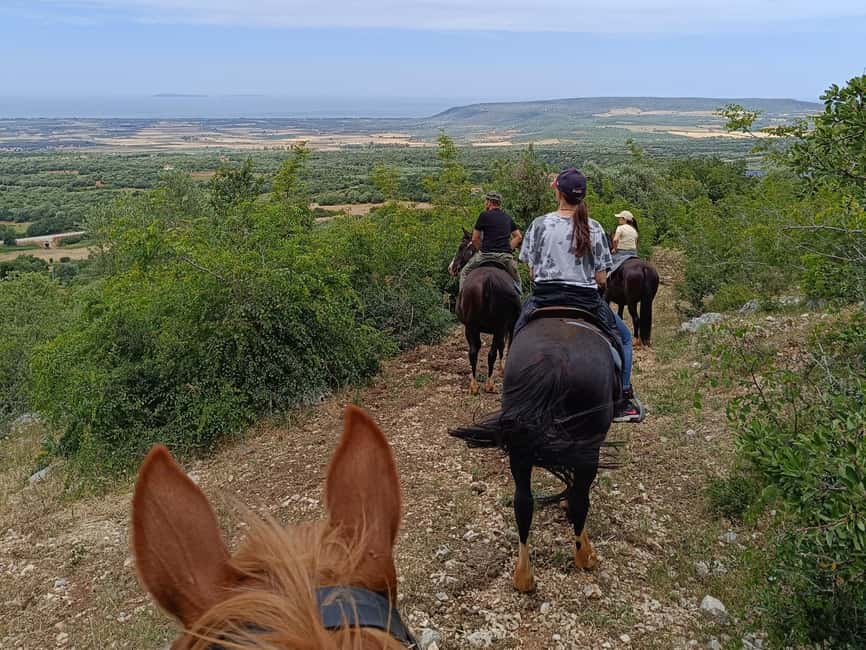 Gargano National Park: a horseback ride - What the one-hour timing means for value