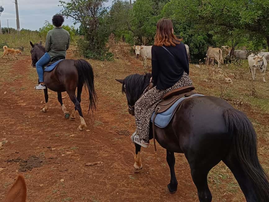 Gargano National Park: a horseback ride - Final call: is this Gargano ride worth booking?