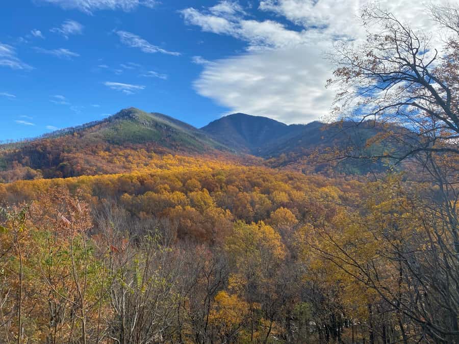Gatlinburg: Great Smoky Mountains National Park Classic Tour - Daisy Town and the people of the Smokies