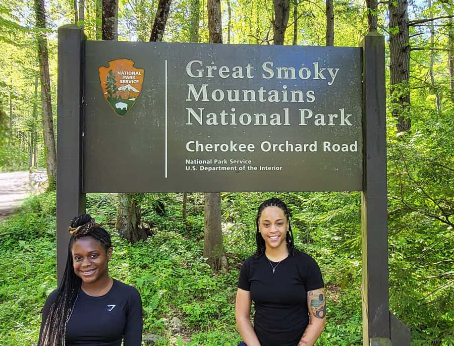 Gatlinburg: Great Smoky Mts National Park Waterfall Tour - Key points at a glance