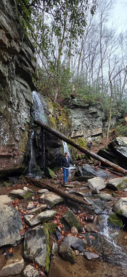 Gatlinburg: Great Smoky Mts National Park Waterfall Tour - Pioneer cabins add a human story