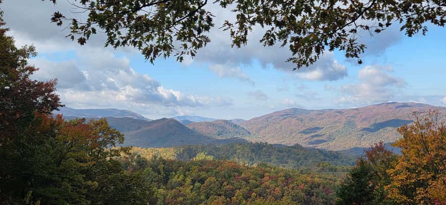 Gatlinburg: Great Smoky Mts National Park Waterfall Tour - A forest walk with changing details