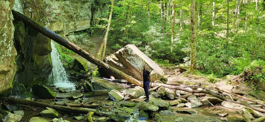 Gatlinburg: Great Smoky Mts National Park Waterfall Tour - What Stella adds to the hike