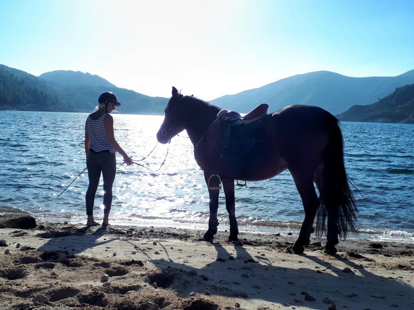Gerês Braga: Horseback Ride in Peneda Gerês National Park - Is $97 a fair price?