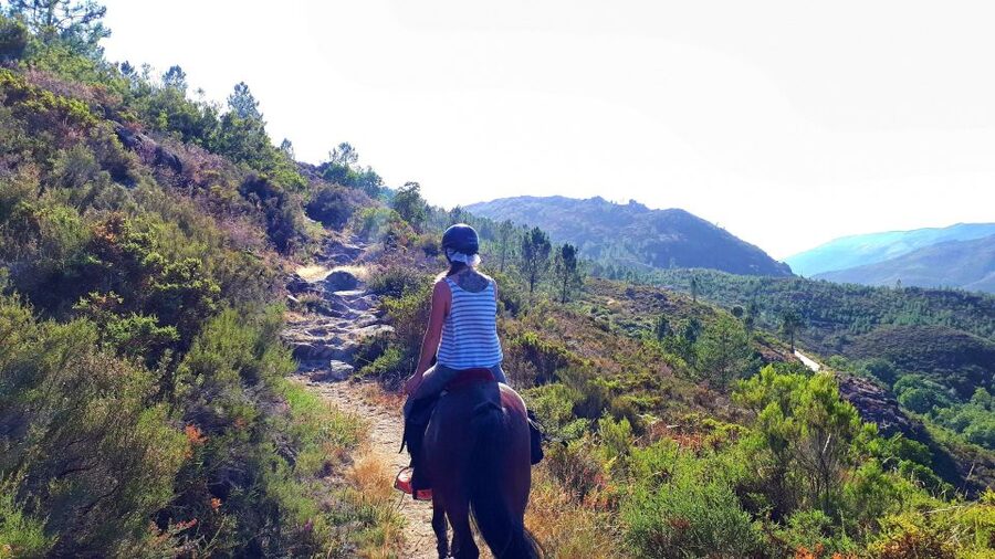 Gerês Braga: Horseback Ride in Peneda Gerês National Park - What kind of rider will enjoy this most?