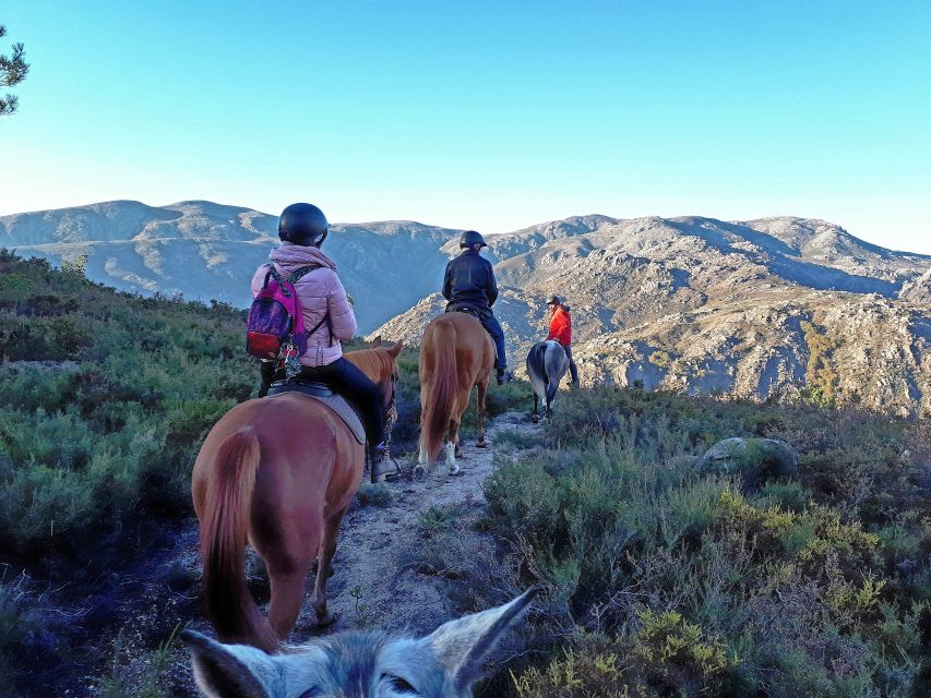 Gerês Braga: Horseback Ride in Peneda Gerês National Park - Climbing by dirt path and ancient trail