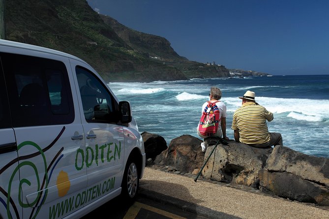 Get to know the Teide National Park and the north of Tenerife on a private tour - Teide National Park and the volcanic interior