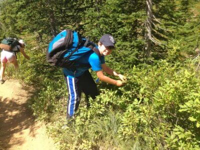 Glacier National Park: Morning Nature Walk