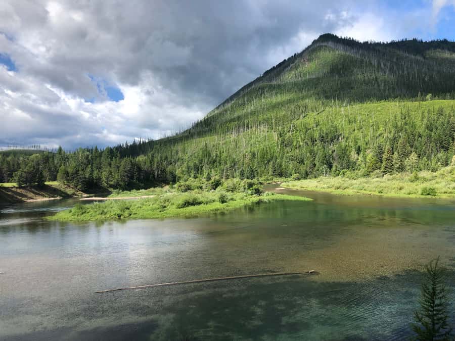 Glacier National Park: Morning Nature Walk - The North Fork loop and the Flathead River