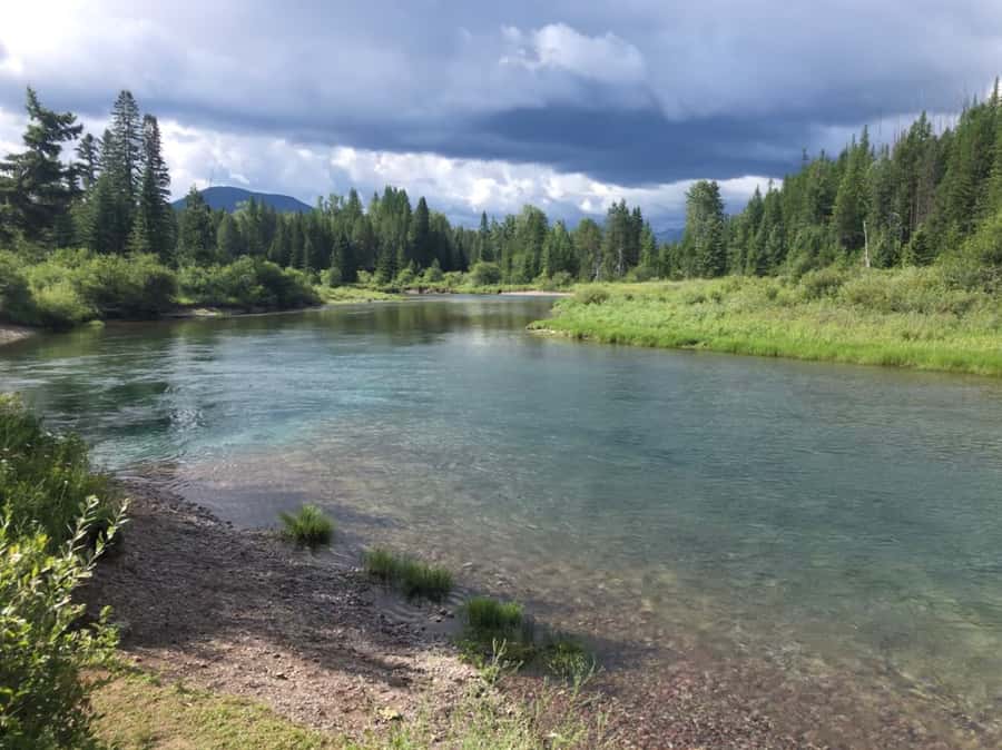 Glacier National Park: Morning Nature Walk - What the guide adds to the morning