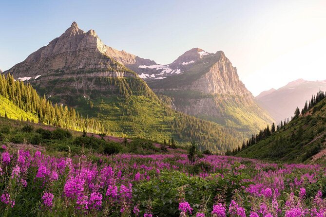 Glacier National Park Scenic Float - Key points to know before booking