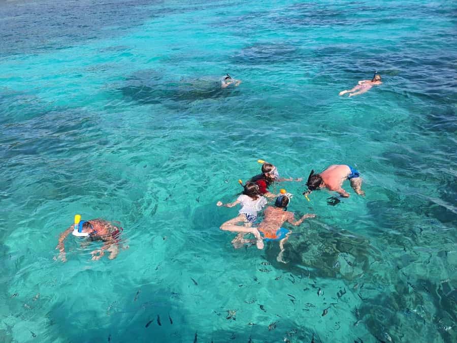 Glassbottom boat & Crystalkayak SteAnneMarinePark Snorkeling - Weather, access, and what to pack