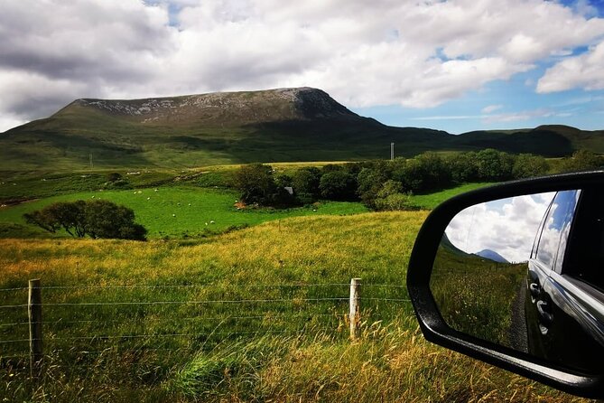 Glenveagh National Park and Gaeltacht Tour - What Henry adds to the day