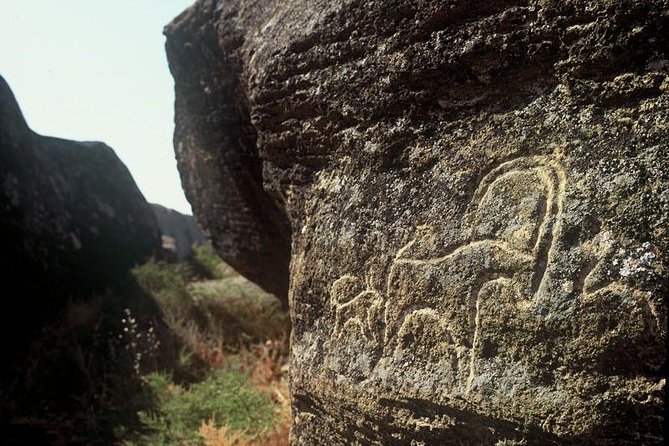 Gobustan National Park & Mud Volcanoes Tour - Should you book the Gobustan tour?