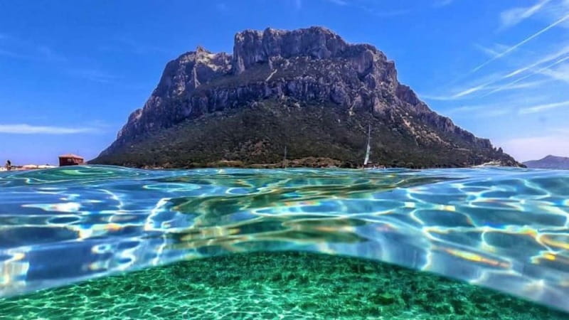 Golfo Aranci: boat tour in the Tavolara Protected Area - Key points to know before booking
