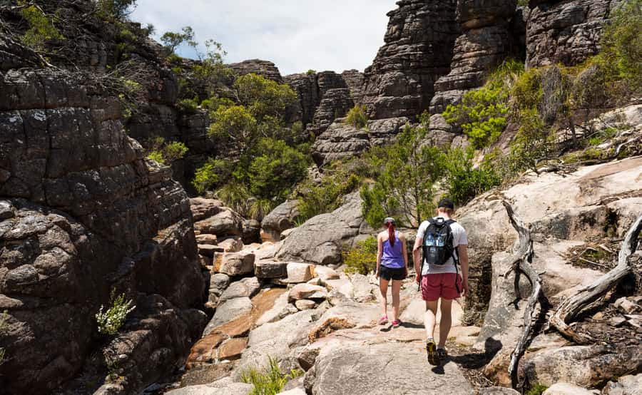 Grampians National Park Small-Group Eco Day Tour - A very long day into Gariwerd