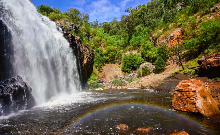 Grampians National Park Small-Group Eco Day Tour - Silverband Falls and the first short walk