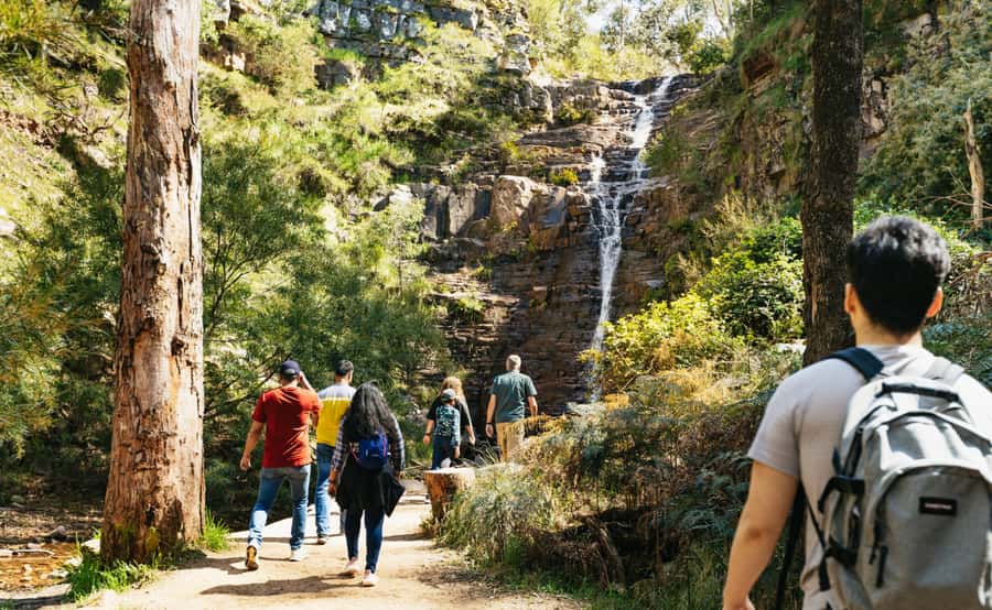 Grampians National Park Small-Group Eco Day Tour - Morning pickup and the road to Ballarat