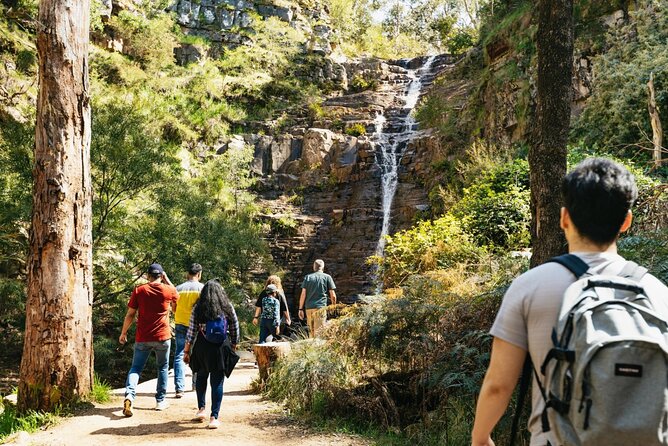 Grampians National Park Small-Group Eco Tour from Melbourne - Key points at a glance