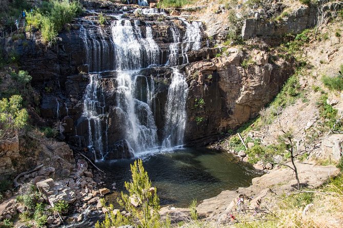 Grampians National Park with MacKenzie Falls and Kangaroos - Quick points to know before booking