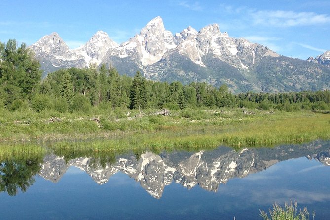 Grand Teton National Park - Full-Day Guided Tour from Jackson Hole - Why a Guided Day Works So Well in Grand Teton