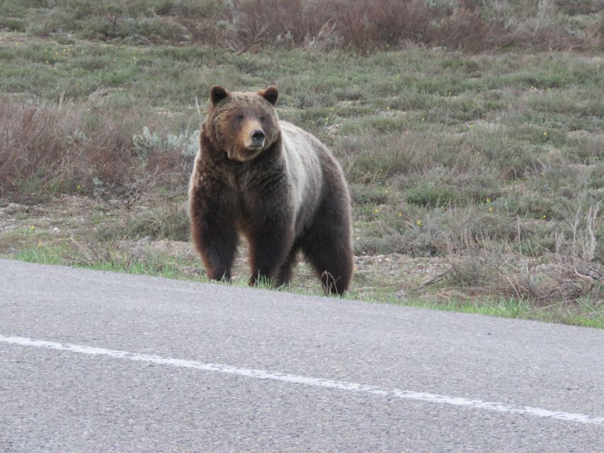 Grand Teton National Park: Full-Day Tour with Boat Ride - Why This Grand Teton Day Works